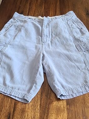 Tommy Bahama Mens Shorts Mens 34 Cargo Casual Beach Vacation Preppy